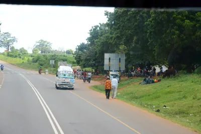 DSC_9662 (Large).JPG